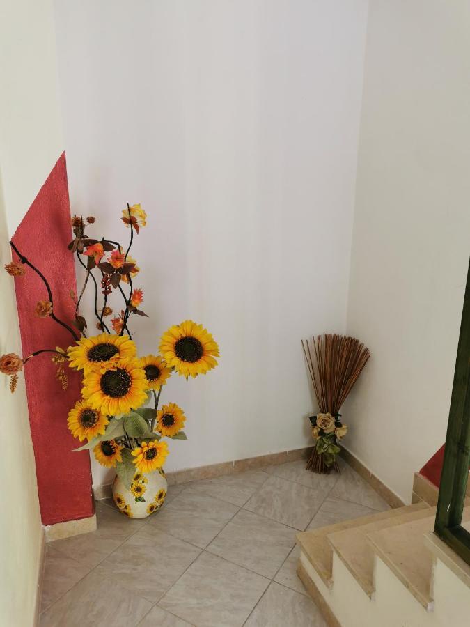 Gigiotto Apartment Syracuse Bagian luar foto